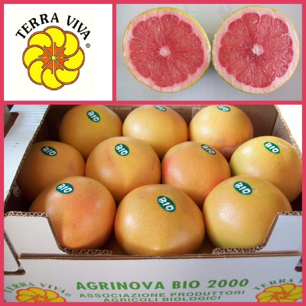 Pompelmo rosa Star Ruby (cassetta 6 kg)