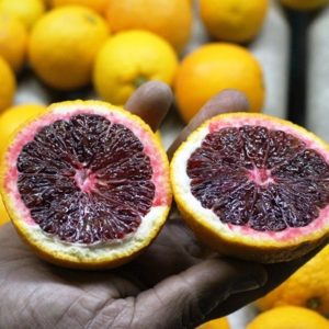 Arance Sanguinello (cassetta) kg 6