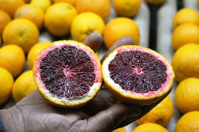 Arance Sanguinello (cassetta) kg 6