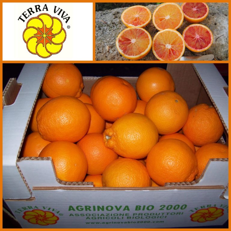 Arance sanguinello per spremuta (cassetta 6 kg)
