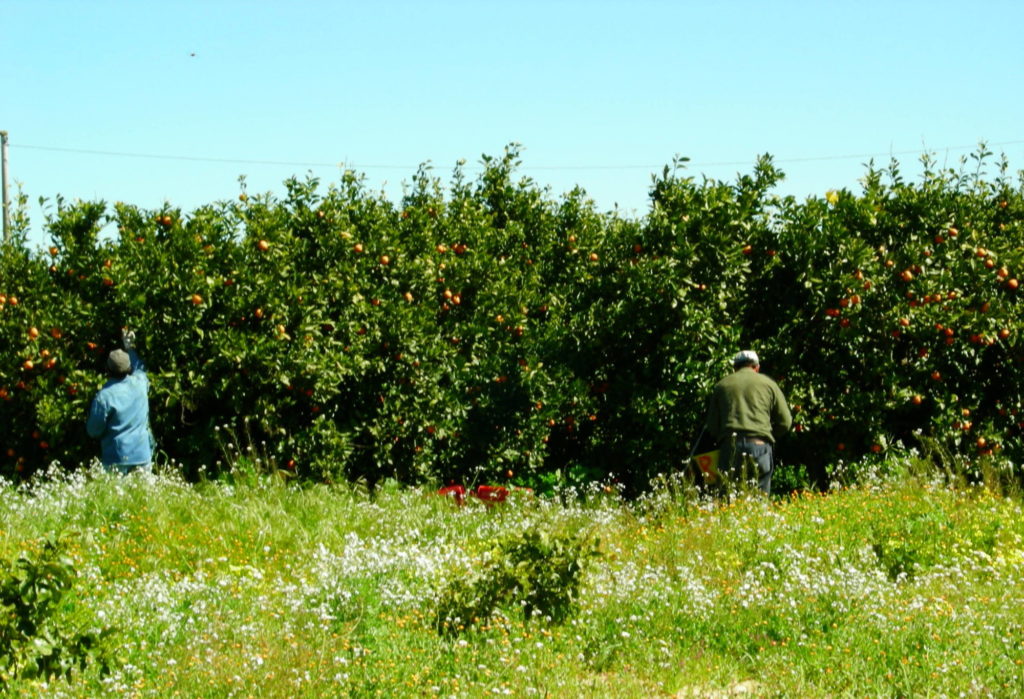 INFORMATIVA SULLA PRIVACY