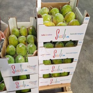 Mango Kensington (cassetta 5 kg)